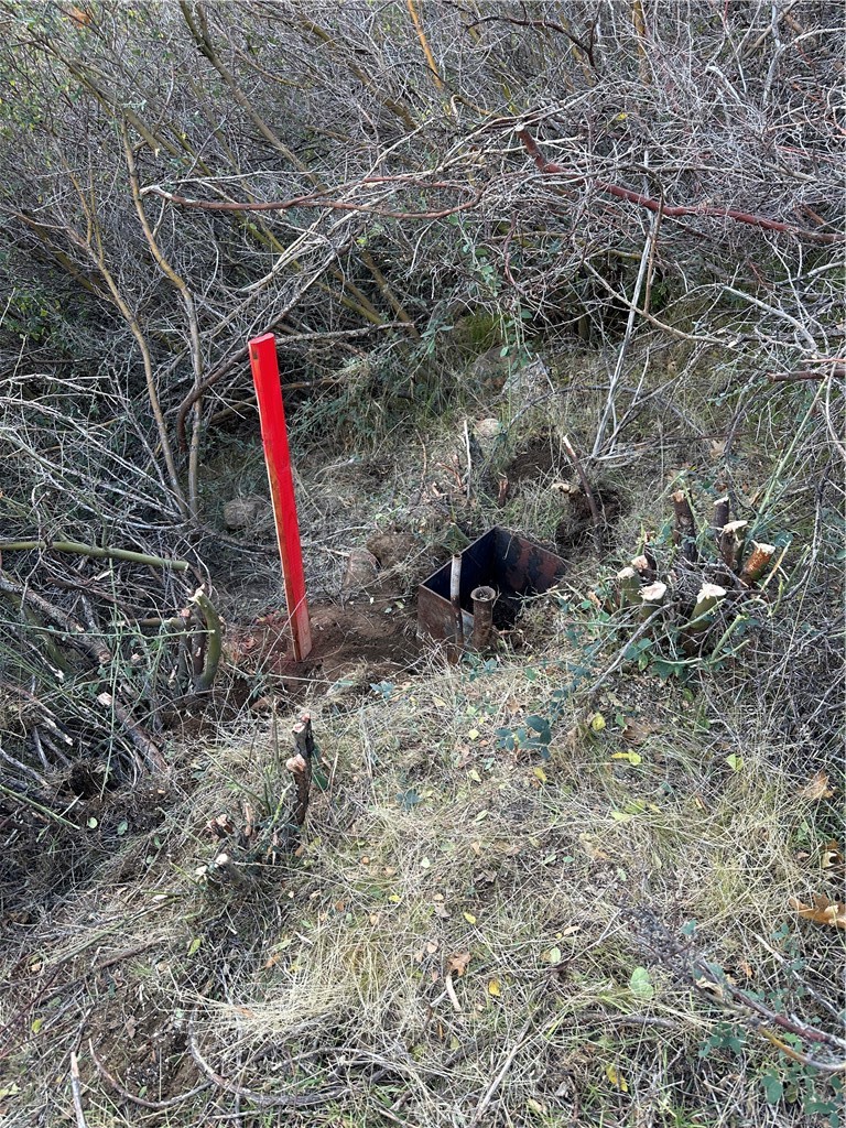 MLS #DW23216327 image #5