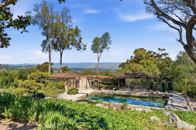 Image 5 of 66 For 100 Saddleback