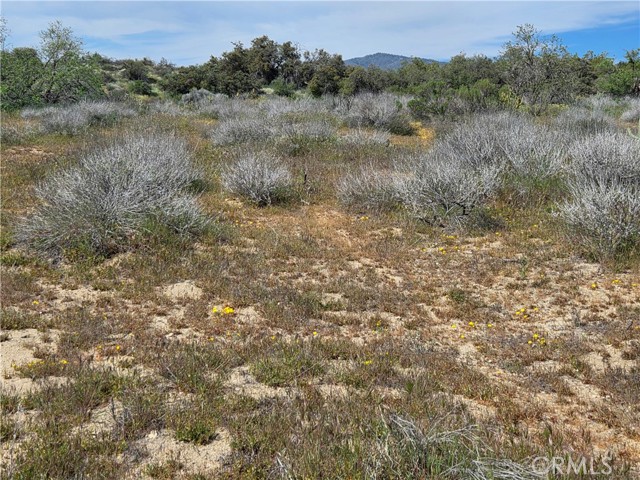 Detail Gallery Image 6 of 7 For 5 Fletcher, Anza,  CA 92539 - – Beds | – Baths