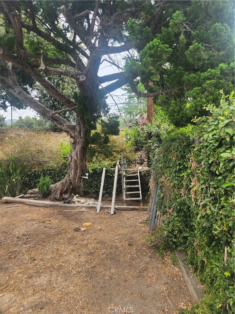 https://media.crmls.org/medias/4b71fba5-8dff-4988-a410-295f850fdf64.jpg?preset=X-Large