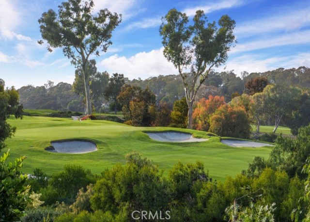 Zoomed GolfCourse View