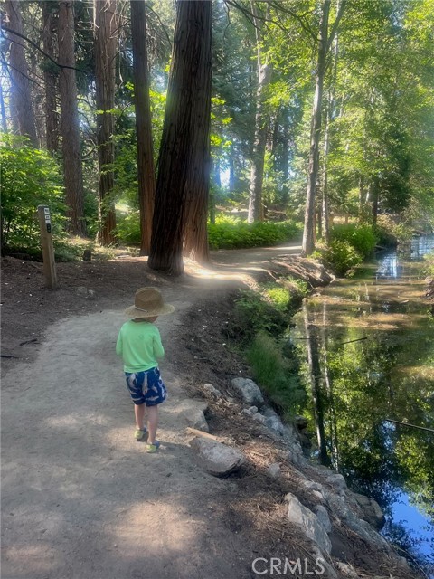 187 Cedar Circle Circle, Lake Arrowhead CA: https://media.crmls.org/medias/4b7b4660-76a3-4225-9e4d-70537150fcc9.jpg