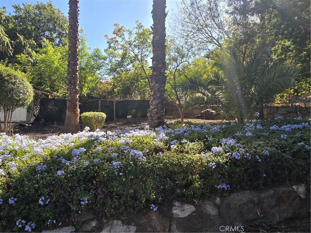 MLS #IV25252329 image #15