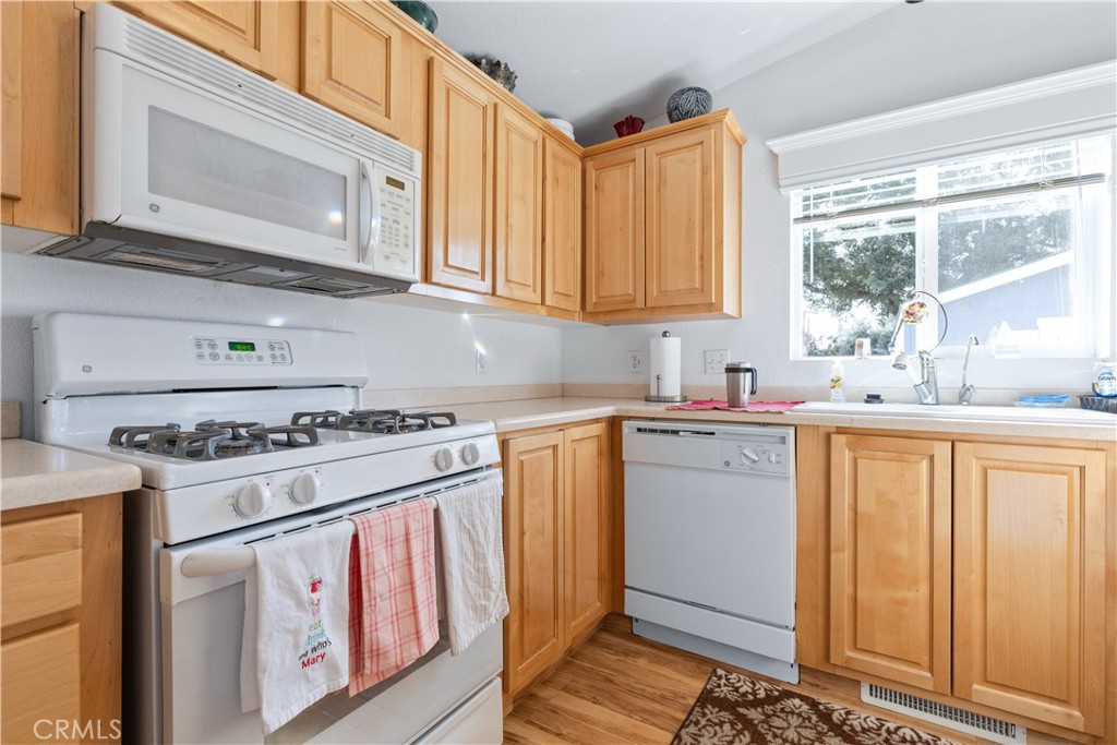 1256 Camino Del Roble 41