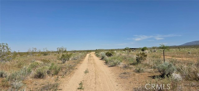 Front Image Thumbnail for CRSR26085036