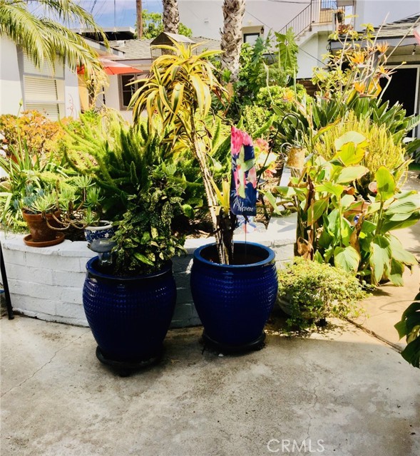 Front Image Thumbnail for CROC26066140