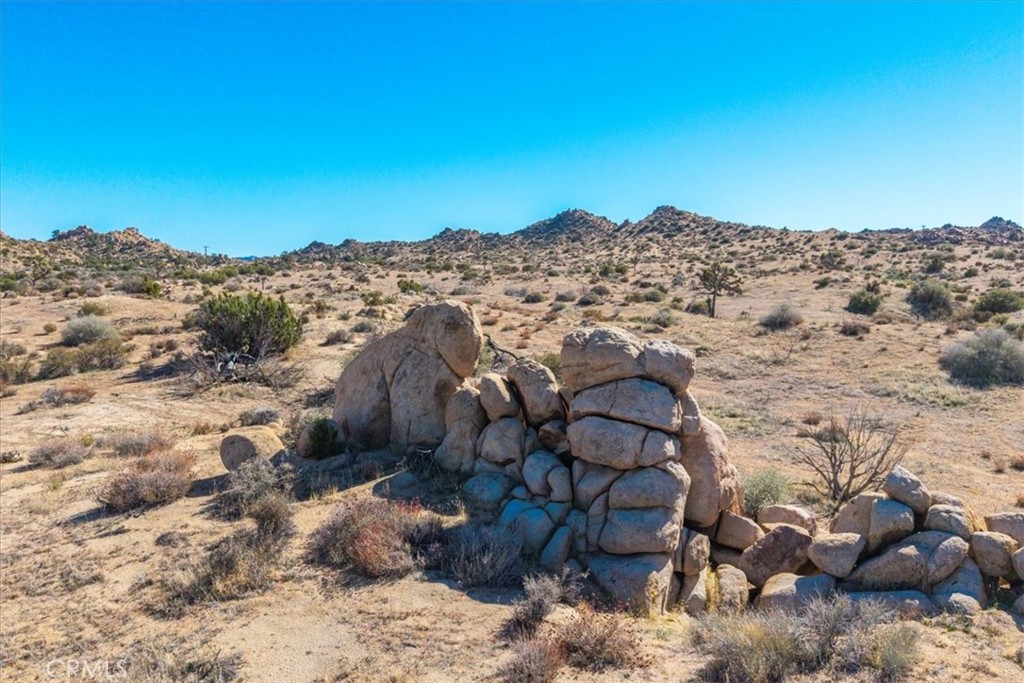 MLS #JT25250010 image #36