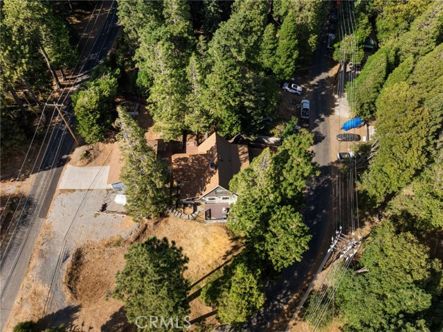 Detail Gallery Image 41 of 48 For 325 Jobs Peak Rd, Cedarpines Park,  CA 92322 - 4 Beds | 2 Baths