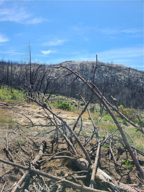 588 Zink, Berry Creek, CA, 95916 588 Zink, Berry Creek, CA, 95916