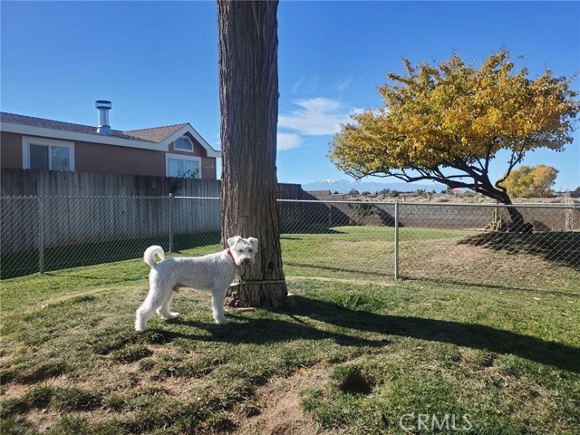 Detail Gallery Image 43 of 45 For 21621 Sandia Rd #150,  Apple Valley,  CA 92308 - 3 Beds | 2 Baths