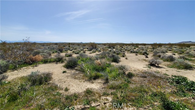 0 Vicinity 25th St W s/o Gibbs, Mojave, California 93501, ,Land,For Sale,0 Vicinity 25th St W s/o Gibbs,CRSR24049532