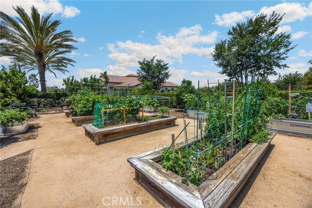 3541 Camelia Lane, Brea CA: https://media.crmls.org/medias/4b9561f9-6995-4607-8443-1cbda230a3af.jpg