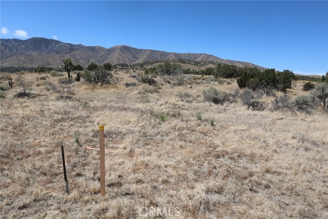 Detail Gallery Image 46 of 58 For 0 Longview Rd, Pearblossom,  CA 93553 - – Beds | – Baths