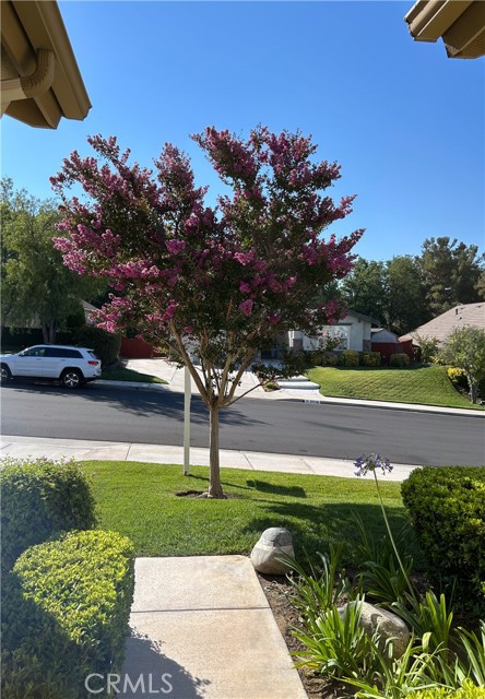 39523 Sierra Madre Drive, Murrieta CA: https://media.crmls.org/medias/4b9b6758-fb7a-425e-8541-9fc2e0e29f9e.jpg
