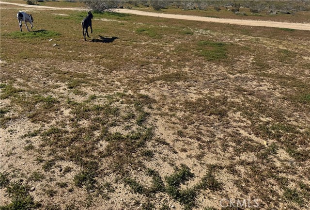 Front Image Thumbnail for CRHD26011587