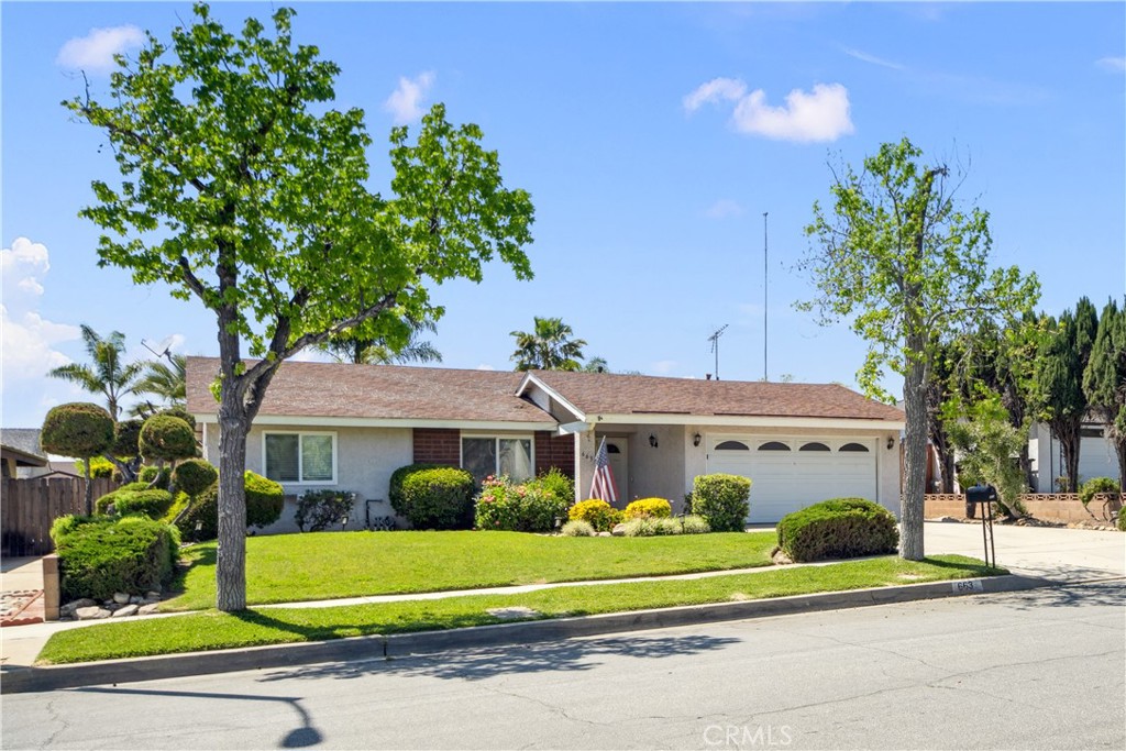 663 Redwood Avenue