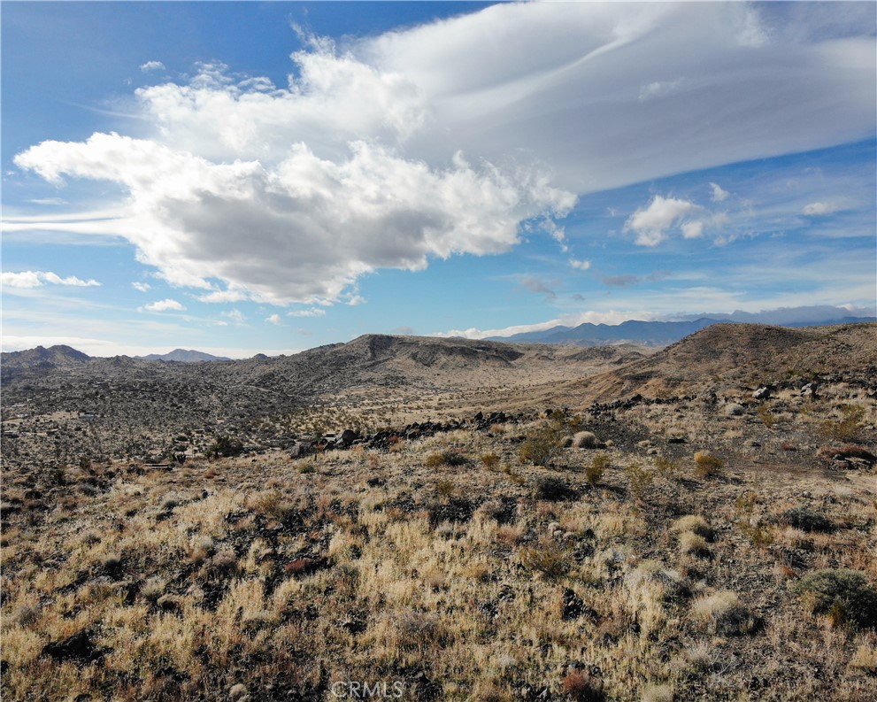 MLS #JT25189473 image #42