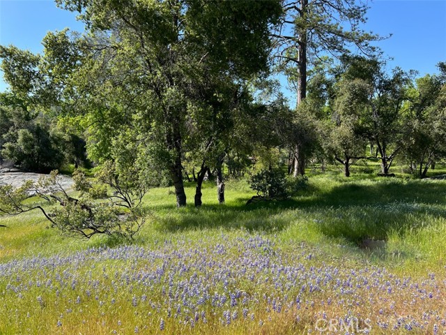 Detail Gallery Image 69 of 70 For 4683 Morningstar Ln, Mariposa,  CA 95338 - – Beds | – Baths