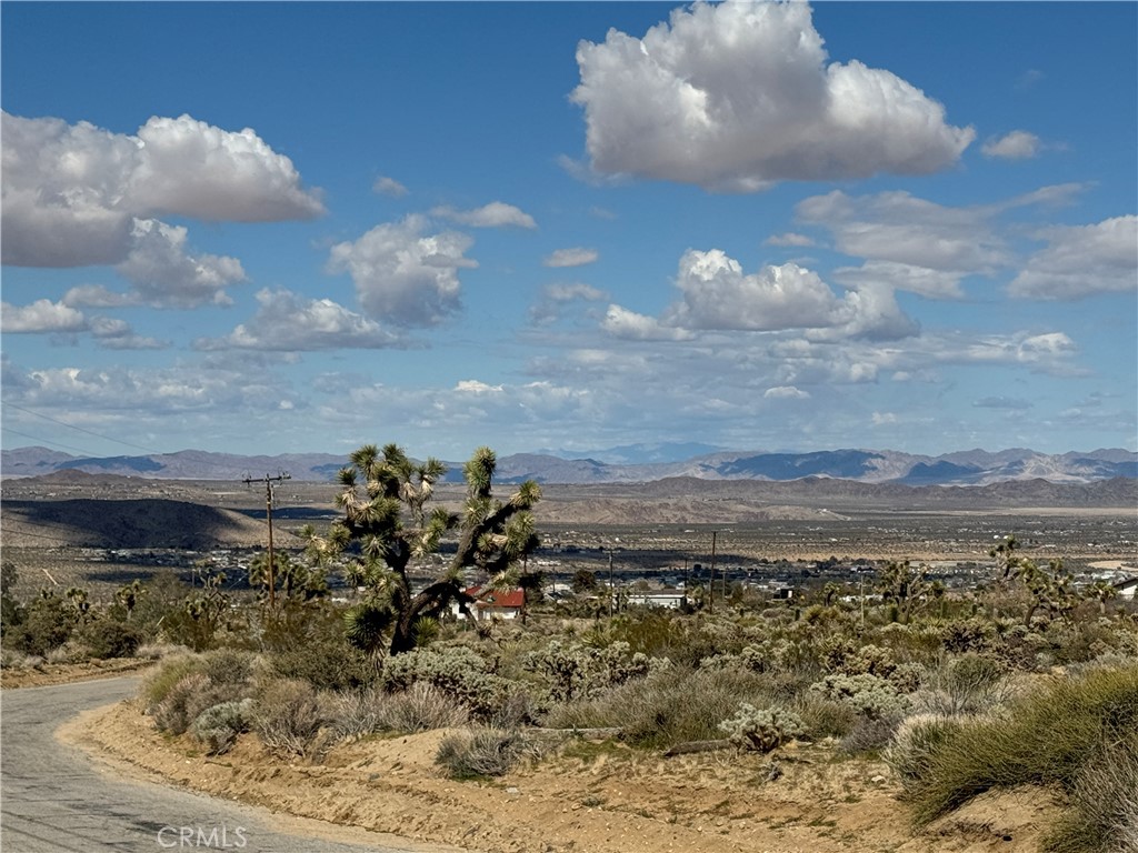 MLS #JT24057098 image #5