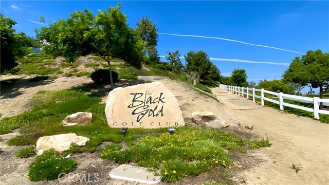 4332 WILD GINGER Circle, Yorba Linda CA: https://media.crmls.org/medias/4bbbb0c0-e7ae-41ea-9872-ee4d7bafd2de.jpg