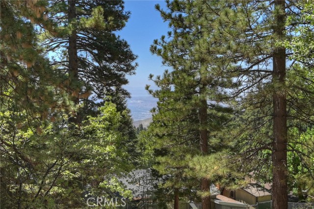 31115 All View Drive, Running Springs CA: https://media.crmls.org/medias/4bc0d293-65ae-4d04-971a-f76af1233606.jpg