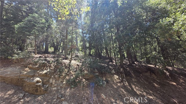 0 Mojave River Road, Cedarpines Park CA: https://media.crmls.org/medias/4bc9ef30-4571-407e-9163-7c00ed7ae747.jpg
