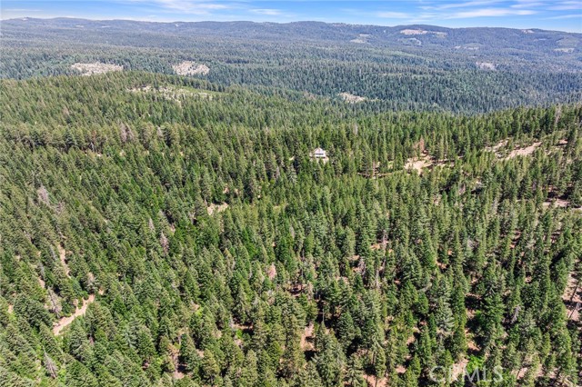 18727 Skyway, Stirling City CA: https://media.crmls.org/medias/4bca7609-89eb-4999-a453-b0f711cddcf6.jpg