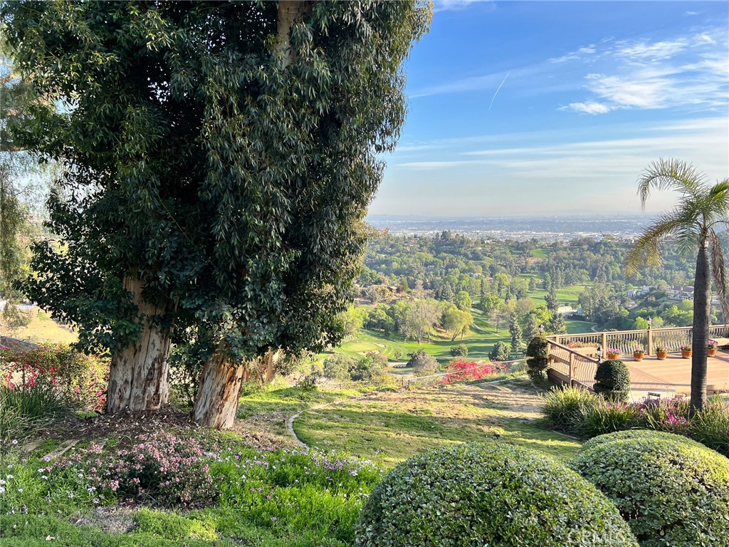 https://media.crmls.org/medias/4bcaa145-5863-4b48-a6a6-84e4f207a731.jpg?preset=X-Large