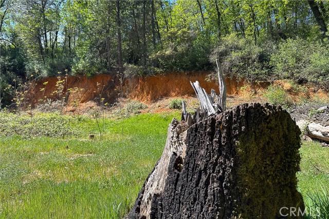 Detail Gallery Image 17 of 29 For 21138 Big Oak Ln, Lakehead,  CA 96051 - – Beds | – Baths