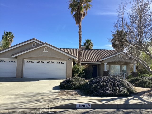 Front Image Thumbnail for CRSR26062502