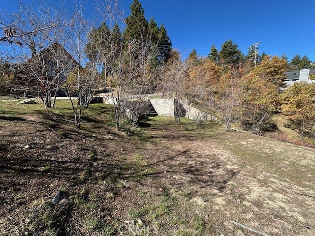 Detail Gallery Image 9 of 31 For 2379 Chicago Dr, Running Springs,  CA 92382 - – Beds | – Baths