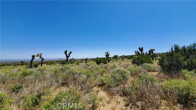 Detail Gallery Image 11 of 35 For 0 180th St East & Ave Y Ave, Llano,  CA 93544 - – Beds | – Baths