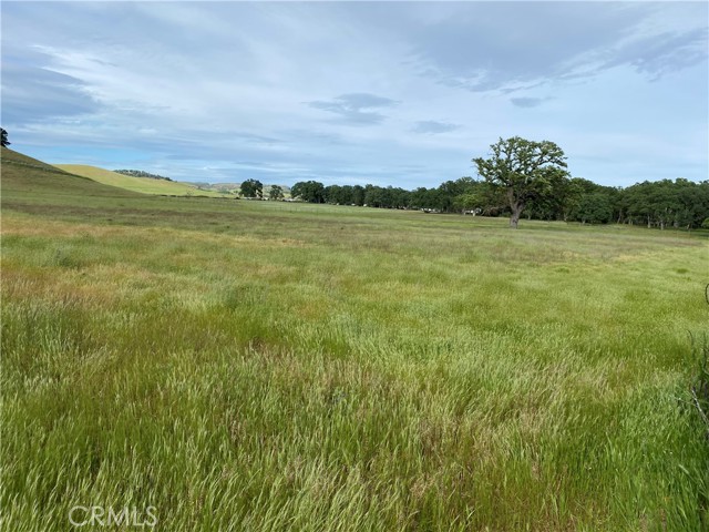 Detail Gallery Image 4 of 9 For 2730 Smith Ln, Clearlake,  CA 95422 - – Beds | – Baths
