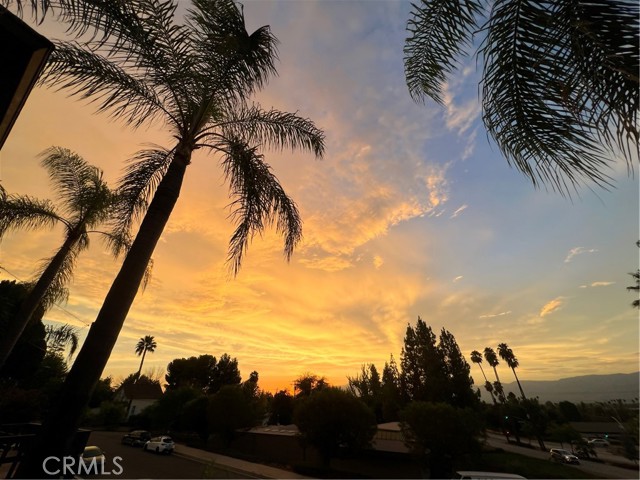 Detail Gallery Image 44 of 45 For 470 E Crescent Ave, Redlands,  CA 92373 - 4 Beds | 2/1 Baths