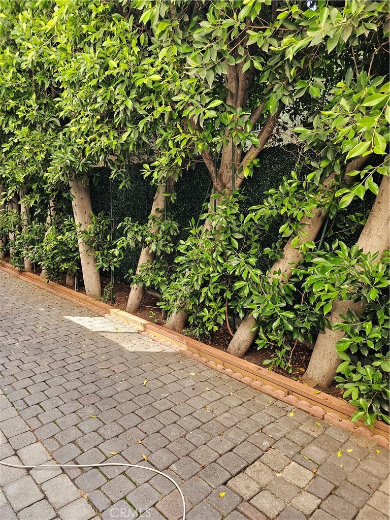 MLS #PI25104037 image #26