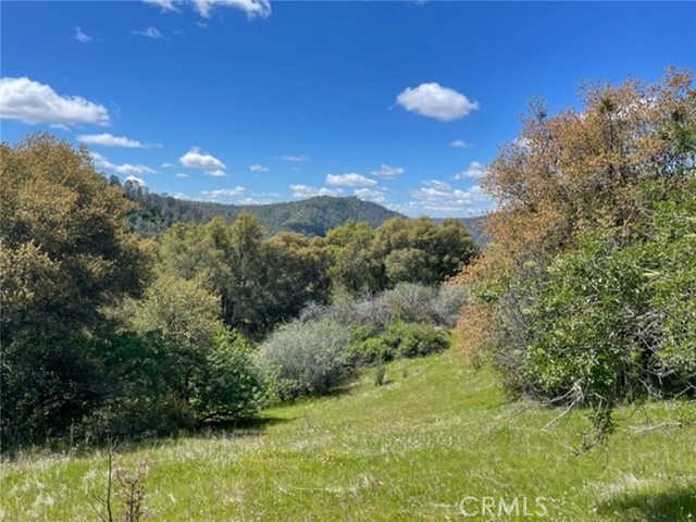 Detail Gallery Image 3 of 14 For 0 77.73 Ac Two Hills Rd, North Fork,  CA 93643 - – Beds | – Baths