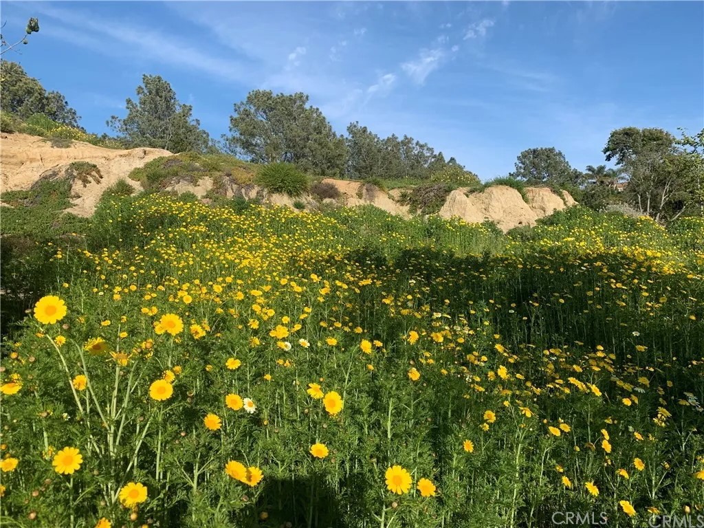 4bf4ccec 3813 4159 9459 Dad1631844ca