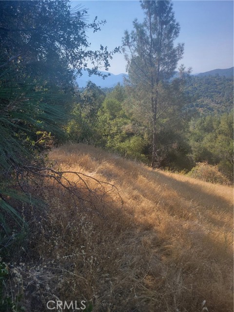 Detail Gallery Image 9 of 9 For 17 Pine Tree, North Fork,  CA 93643 - – Beds | – Baths