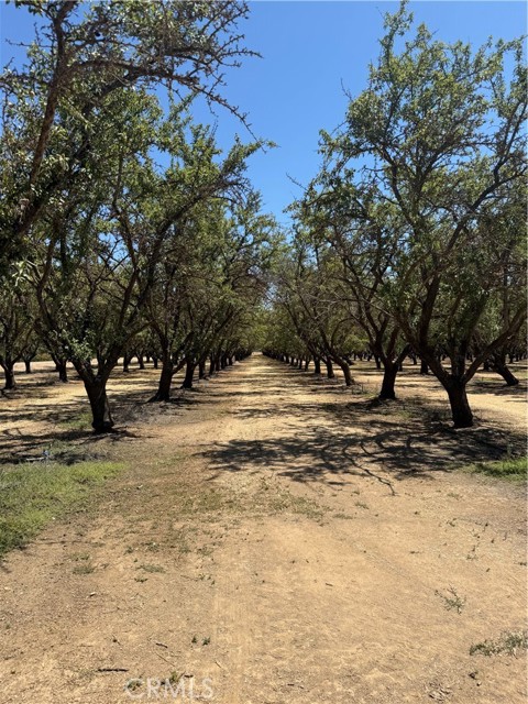 6260 County Road 25, Orland CA: https://media.crmls.org/medias/4bf91840-5a17-4572-b958-36d45b3f3666.jpg