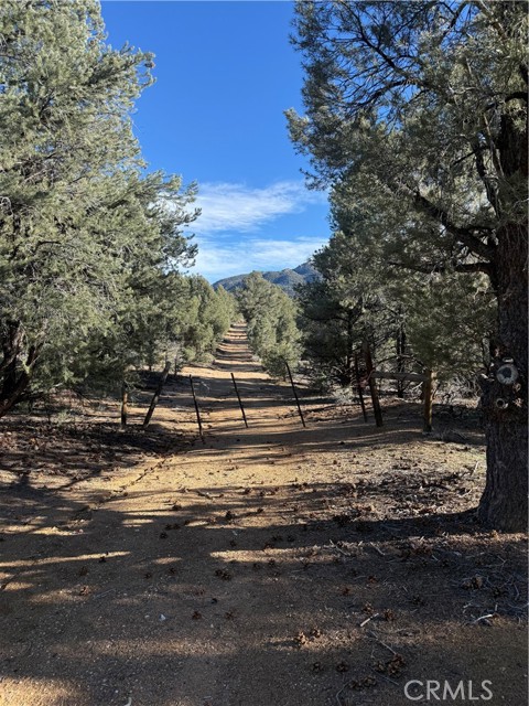 Detail Gallery Image 2 of 10 For 0 310-190-028 Sacatar Ranch Rd, –,  CA 93527 - – Beds | – Baths