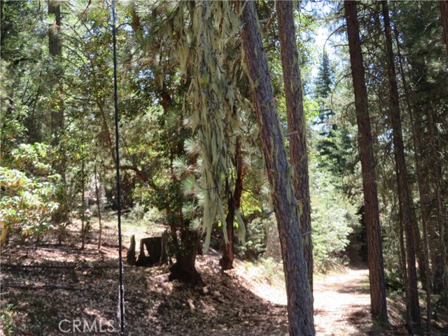 0 Barns Ranch Road, Covelo, California 95428, ,Land,For Sale,0 Barns Ranch Road,CRSN23031018