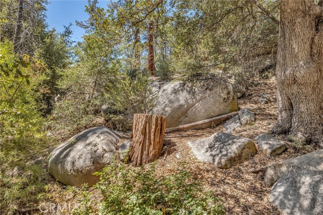 25405 Point Of Rocks Drive, Idyllwild CA: https://media.crmls.org/medias/4c0fb08c-ee3b-4848-981e-185295cf47d1.jpg