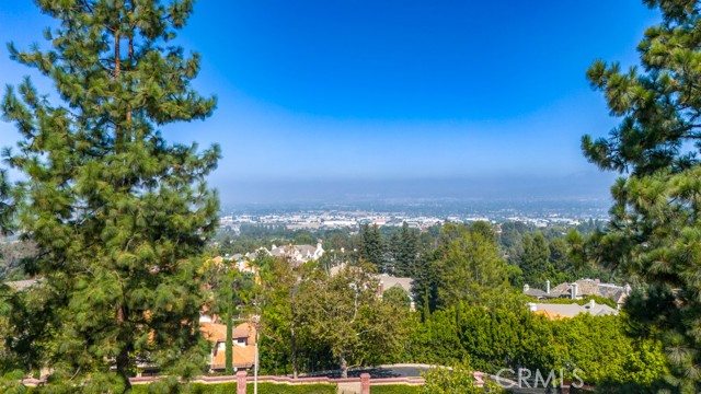 Detail Gallery Image 37 of 51 For 531 S Westford St, Anaheim Hills,  CA 92807 - 2 Beds | 2 Baths