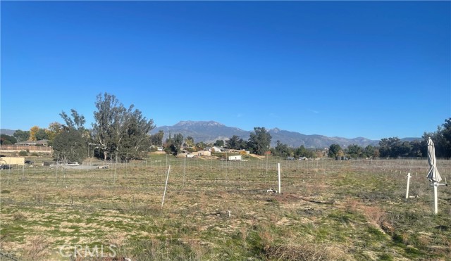 Front Image Thumbnail for CRWS25276306