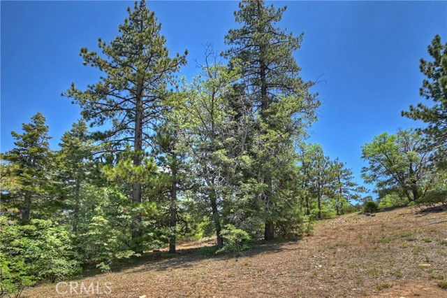 Detail Gallery Image 28 of 35 For 50 Metcalf Creek Trail, Big Bear Lake,  CA 92315 - 2 Beds | 1/1 Baths