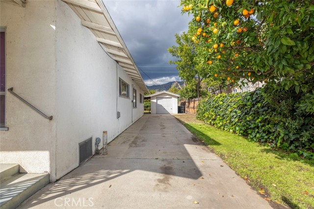 561 Palm Drive photo 5