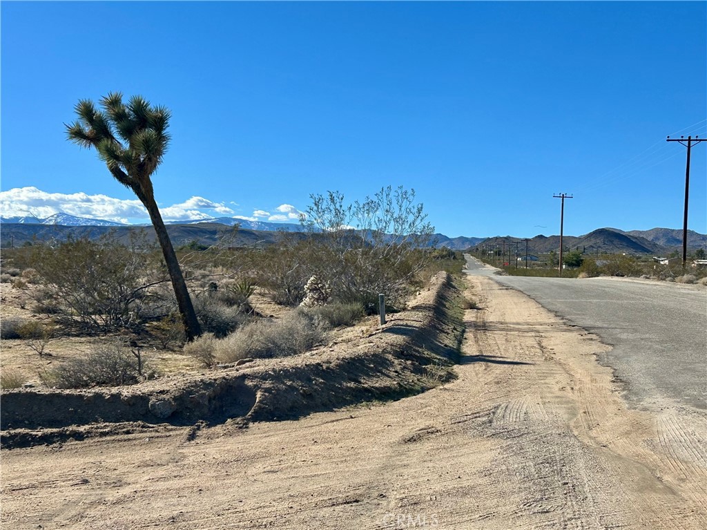 MLS #SW25265380 image #2