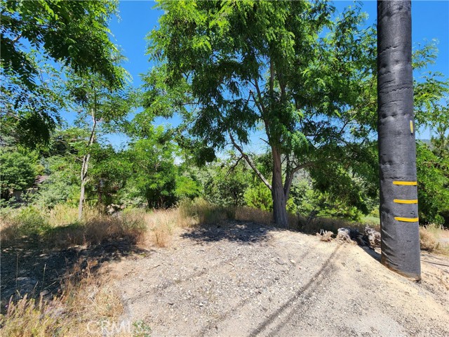 Detail Gallery Image 18 of 30 For 31912 Encina Way, Running Springs,  CA 92382 - – Beds | – Baths