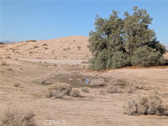 Detail Gallery Image 8 of 13 For 0 Mauka Rd, Newberry Springs,  CA 92365 - – Beds | – Baths