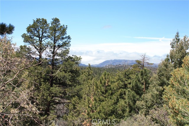 Detail Gallery Image 40 of 55 For 615 Kean Way, Big Bear City,  CA 92314 - – Beds | – Baths